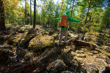 Fototapeta premium Solo hiking woman enjoy the sunrise landscape at autumn forest