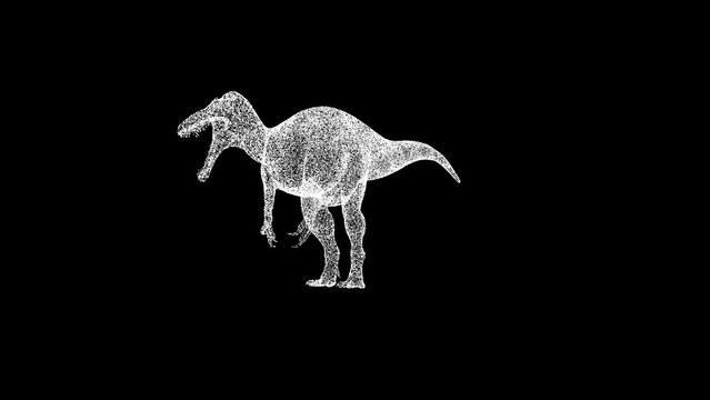 3D dinosaur rotates on black background. Prehistoric dinosaurs. Jurassic period, Mesozoic era. Natural history museum. Prehistoric period. For title, text, presentation. 3d animation 60 FPS