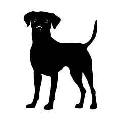 Vector black silhouette of a dog isolated on a white background.