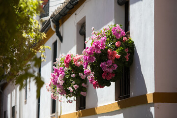 Fototapeta na wymiar Balcony with planter of geraniums and seasonal flowers. Typical house of southern spain in andalusia.