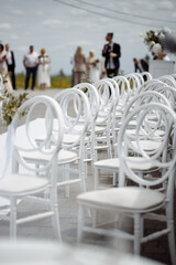 Beautiful wedding chairs. Front view.