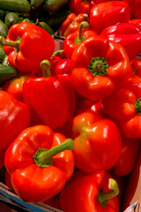 Fresh red home-grown sweet bell peppers, bulgarian pepper, capsicum paprika on counter in box in supermarket for sale in pile. - 626228566