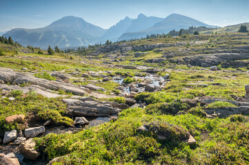 Fototapeta na wymiar Mountain top stream in Sunshine Meadows in Banff National Park, Alberta, Canada