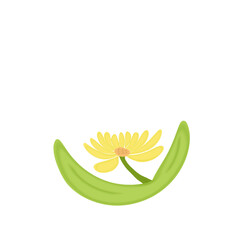 It's sunflower not bananas