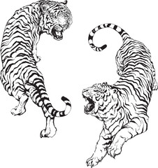 Fototapeta na wymiar Design elements of tiger vector illustrations. Design tattoo tiger. 