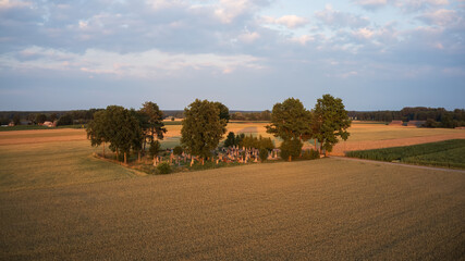 Old country graveyard by cereal field sorrounded