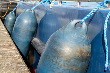 fenders protecting the side of a moored ship