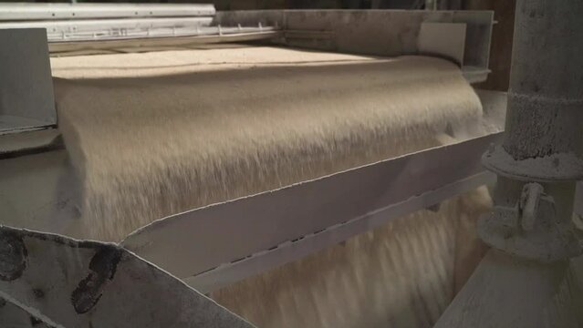 A sugarmill producing sugar in Uttar Pradesh, India.