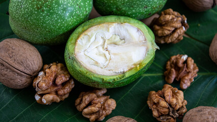 Close-up. Green walnuts in section. Green walnut halves. Walnut kernels without shells.