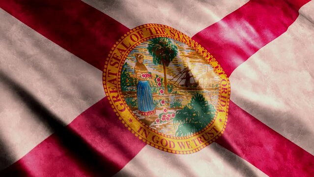 Florida State (USA) Flag Grunge Animation, 
Loop able, Extend the duration as required