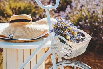 Bike with basket with flowers against lavender field. Soft focus.