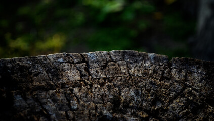 very beautiful old wood photo background for wallpaper