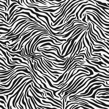 Seamless vector black and white zebra fur pattern. Stylish wild zebra print.