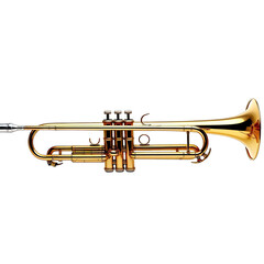 Obraz na płótnie Canvas A shiny brass trumpet on a clean white background