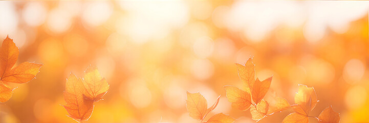 Autumn yellow, orange background with leaves and bokeh. AI