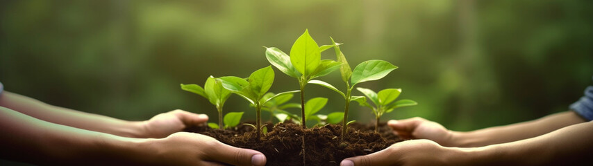 Naklejka premium Banner with small growing tree in hands. Nature background, Ecology concept. Generative AI