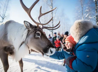 Papier Peint photo Europe du nord Tourists petting the friendly reindeer in Lapland