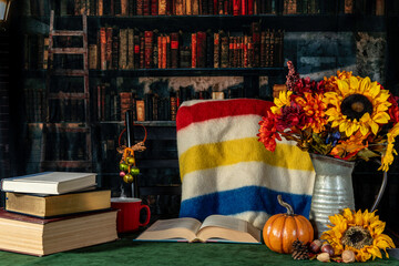 old library decorated for fall and Hudson bay blanket