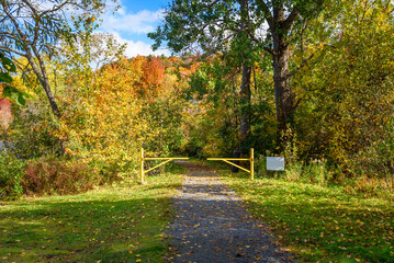 Gate along a gravel path through a forest at the peak of fall foliage on a sunny day