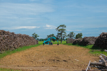 tractor in a log field, wood log , eucalyptus wood log , wood industry