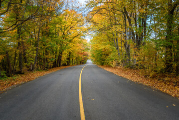 Empty straight stretch of a road running through a forest at the peak of fall foliage