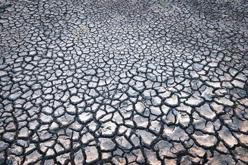 Cracks on the surface of the earth are altered by the shrinkage of mud due to drought