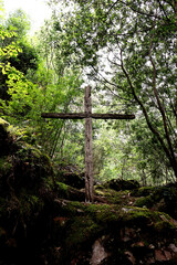 Christian wooden cross, amidst trees, vegetation, and moss-covered stones. Stations of the Cross at Sanctuary of Nossa Senhora da Piedade, Lousã, Portugal.