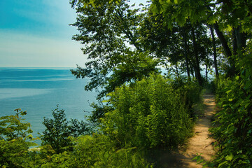 Fototapeta na wymiar On a sunny Summer day, the view of a peaceful, blue Lake Michigan from atop a green forested bluff near Milwaukee, WI.