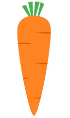 Carrot Flat Set