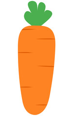 Carrot Flat Set