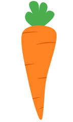 Carrot Flat Set