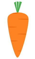 Carrot Flat Set
