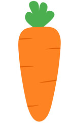 Carrot Flat Set