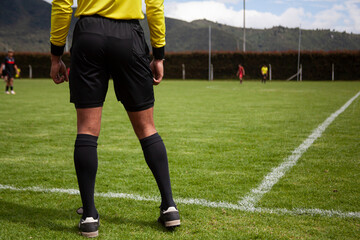 Half body Soccer referee with his back to the field observing the match