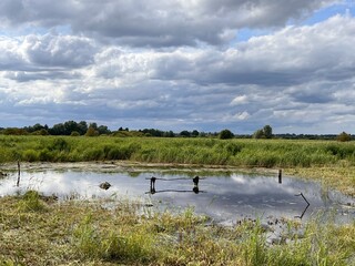 Beautiful landscape of reflection of reeds and clouds in the water of the river at nature reserve on Norfolk Broads East Anglia with grass and trees and cloudy sky over scene in Summer day light