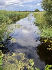 Beautiful landscape of reflection of reeds and clouds in the water of the river at nature reserve on Norfolk Broads East Anglia with grass and trees and cloudy sky over scene in Summer day light