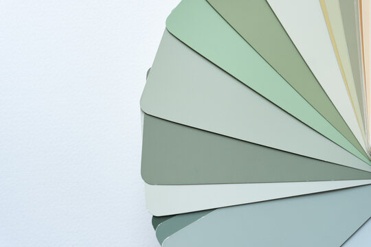 harmonious greenery grays - assorted paint chip samples 