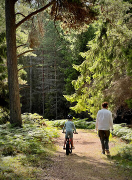 mother and son in the woods a beautiful morning