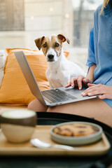 Cute dog face. Working with laptop sitting in cafe with small dog Jack Russell terrier. Remote work...