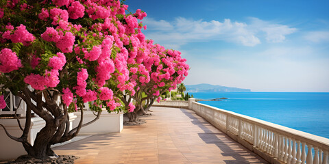 Bright pink flowers and the sea on the coast of Cyprus  Seaside flowers Beautiful fence of purple flowers 