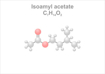 Simplified scheme of the isoamyl acetate molecule. Main flavoring component of banana aroma and important aroma component of beer.