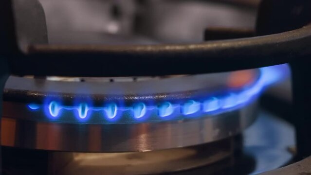Close-up view of blue flame ignited appearing from gas stove. Fire of modern conveniences. Economic crisis. Shortage of fuel. stove burner. Gas ring. Stove top. Close-op footage gas stove.