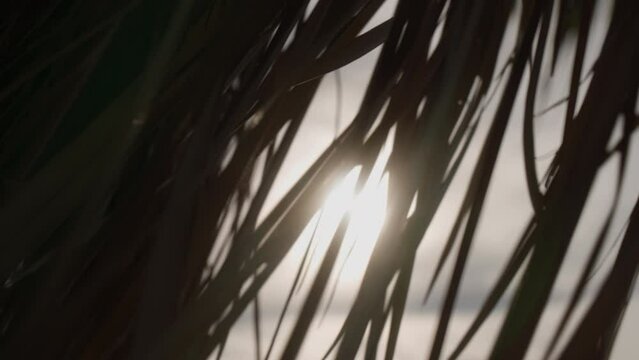 Beautiful slow motion view of straw hut waving in the wind. Sunlight breaks through dry leaves of tropical bungalow on seaside. Peaceful beach scene. Sunset sun beams on ocean shore. Close-up detail.