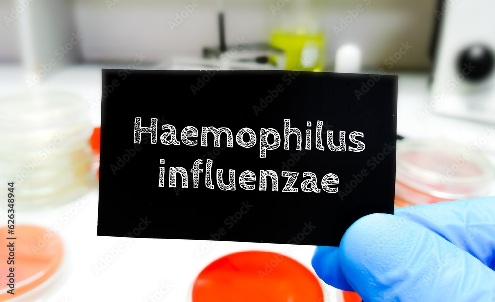 Poster Haemophilus influenzae bacteria. medical and healthcare conceptual image.