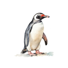 Pinguin Illustration, Zeichnung, Wasserfarben, ideal für Bücher, Kinderbücher, Magazine, Blogs, Poster, T-Shirts, Plakate, weitere Tier im gleichen Stil verfügbar