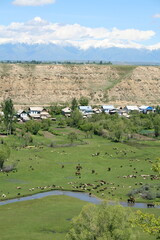 At Lake Issyk-Kul, Kyrgyzstan