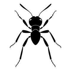 Ant insect black silhouette logo svg vector