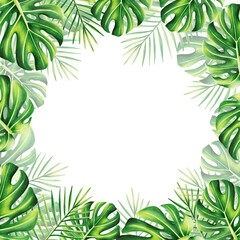Watercolor frame with realistic tropical illustration of monstera and palm isolated on white background. Beautiful botanical hand painted floral elements. For designers, spa decoration, postcards