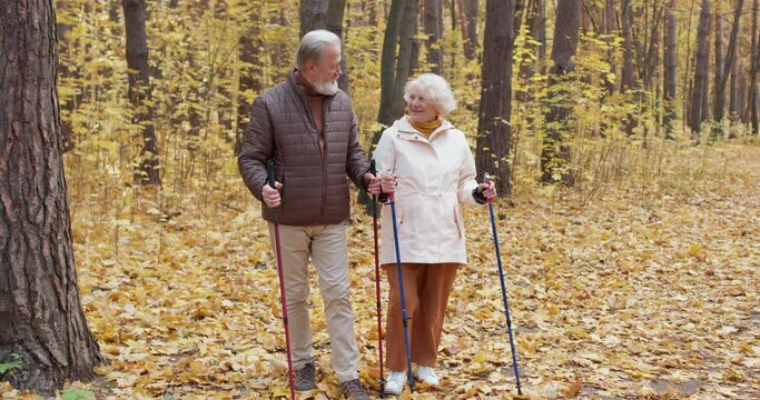 Two sporty active happy old pensioners enjoy nordic walk in nature wood park in autumn. Senior elder couple stroll Romantic family hikers date. Elderly grandparents training in the forest Slow motion