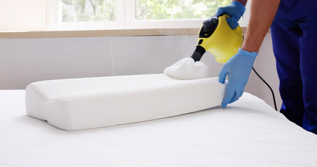 Bed Bug Pillow Pest Control Cleaning